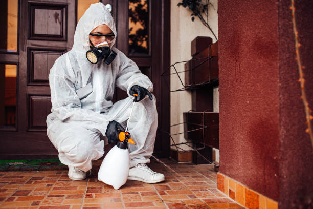 Reliable Ant Control contractor in Central, SC by Show Me Pest Control